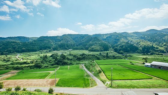 兵庫県新温泉町ジビエ加工場立ち上げ支援業務